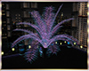 *T* Skyline Plant