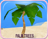 MLM Summer Palm