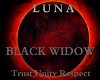 Luna Black Wiidow Banner