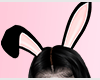 N| Bunny Anim. Ears