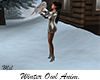 Winter Owl Anim.
