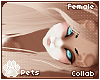 [Pets] Fievel | hair v2