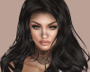 VD* PL VAMPI N