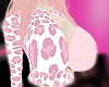 Bimbo Top