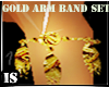 (IS)Bling Gold Arm Bands