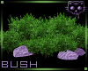 Bush Purple 1a Ⓚ