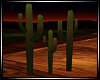 Saguaro Desert Cactus