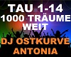 DJ Ostkurve -1000Träume