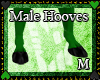 Male hooves