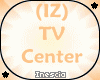 (IZ) TV Center