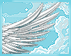 Wings Angel