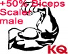 KQ +50% Biceps Scaler M