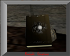 Mage RP Book 1