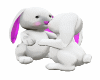 BUNNY  WHITE
