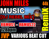 JOHN MILES [RmX] MUSIC