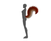 Squirrel tail