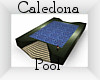 Caledonia Pool
