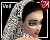 Pearls & Lace Veil 2