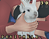 Cute Bunny F [3DS]