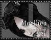 [MLA] Hair/google