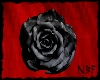 Black rose for hair v2