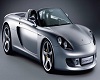 Porshe Carrera Picture