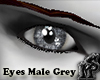 Male Eyes Grey