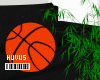 ♛ Basketball