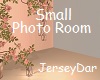 Small Photo Room