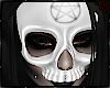 !VR! PVC Skull Mask F