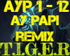 Ay Papi Remix