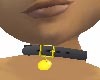 Collar w/gold ID tag-F