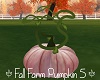 Fall Farm Pumpkin 5