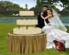 219 Tuscan Wedding Cake