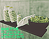 ϟ Weed Shelf