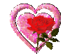 Rose and Hearts