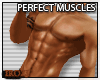 PERFECT MUSCLES ALI