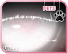 [Pets] Vimi | eyes v2