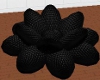 SG Lotus Flower Black