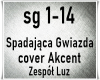 Spadajaca gwiazda