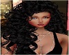 Black Claudia Hair
