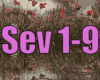 A| SEVEN S & D