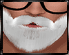 Beard Santa Christmas