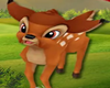 !   BAMBI  PET