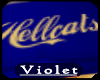 (V) Hellcatts Cheer top