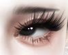 Doll Lashes