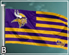 Vikings Flag