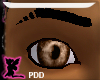 (PDD)Eyes-Brown