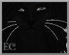 EC| Kitten Furry Whisker