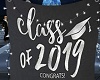 Class of 2019 Banner